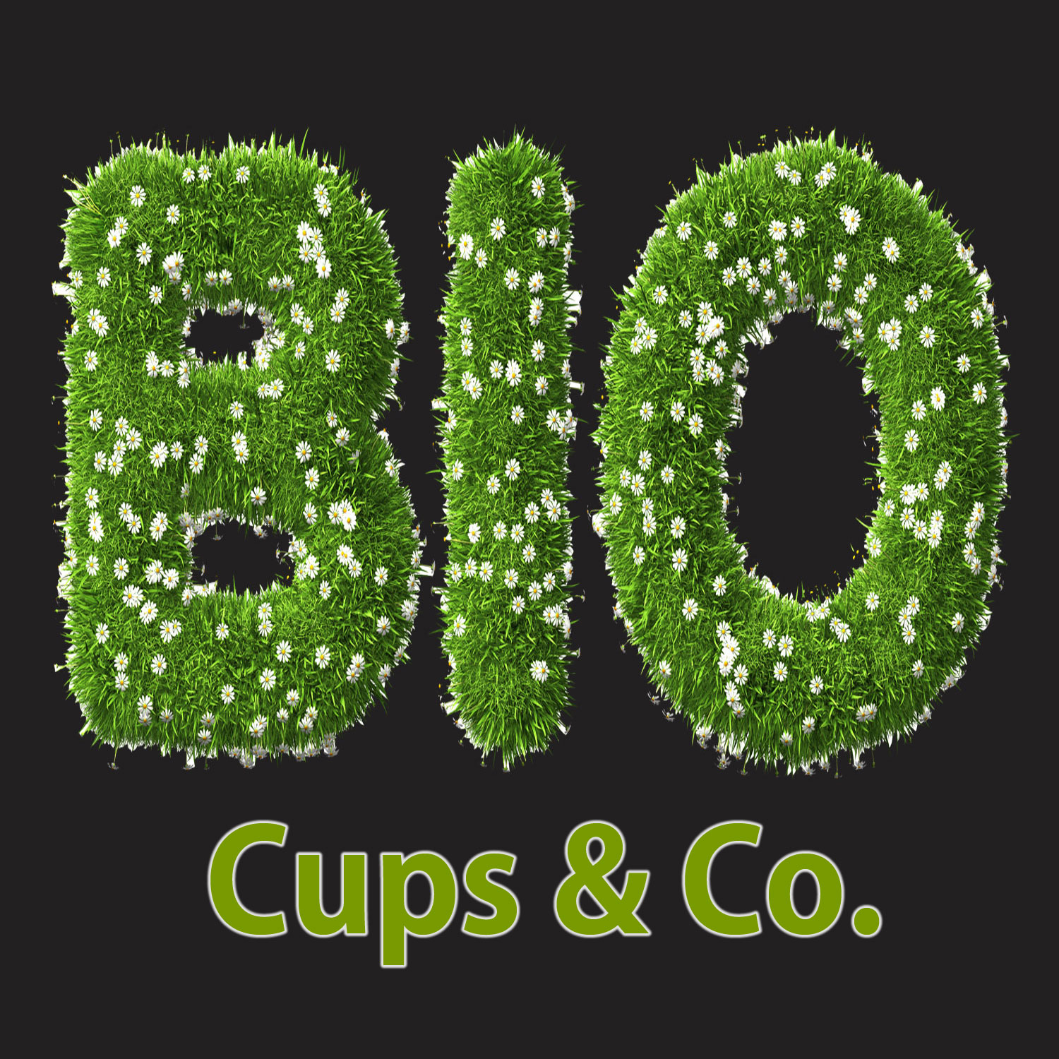 biologisch abbaubare Eisbecher