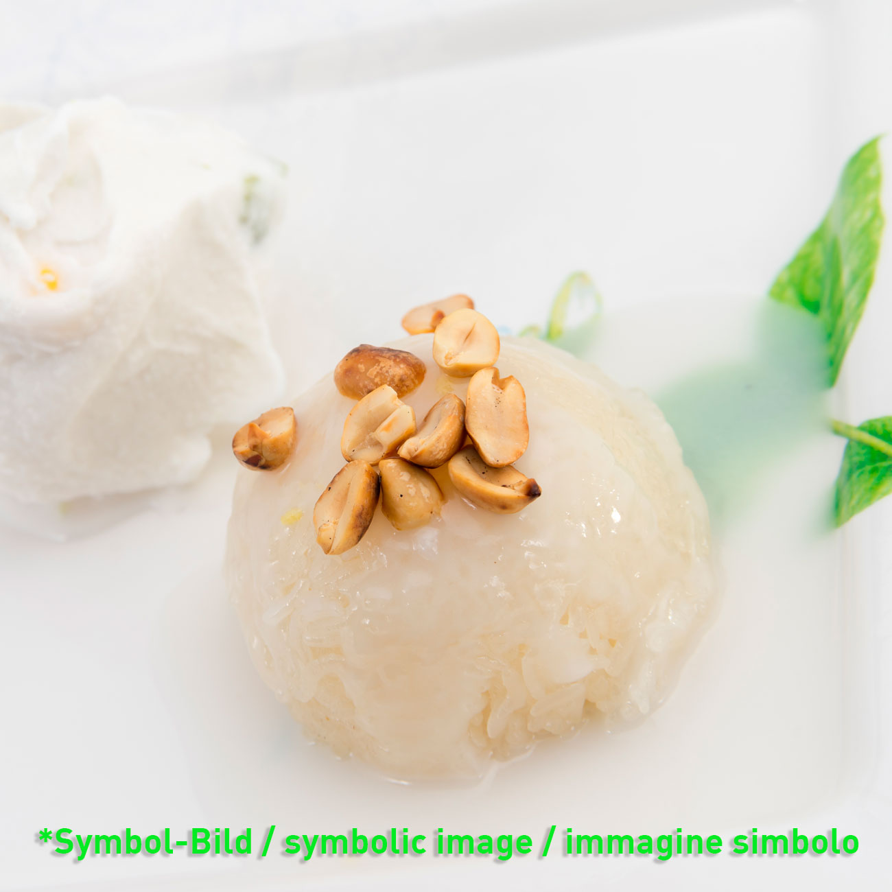 Eispasten Eispulver - Soravia GmbH & Co.KG - www.eispasten.de